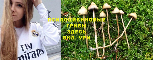 гидра Дедовск
