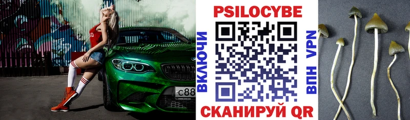 даркнет формула Ермолино Псилоцибиновые грибы Psilocybe